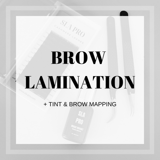 Brow Lamination + Tint & Mapping Online Training